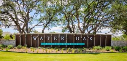 images-Water Oak