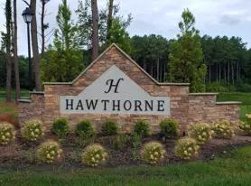 images-Hawthorne