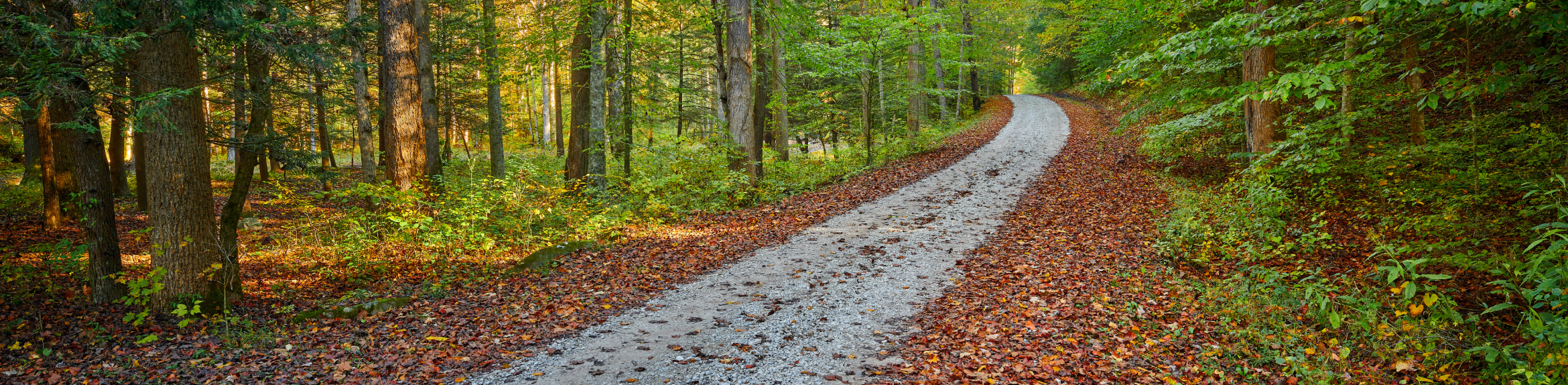 images-Parks & nature