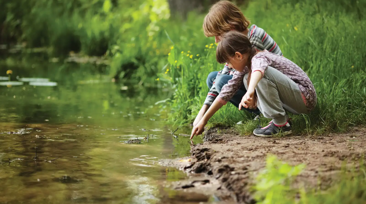 images-Parks & nature