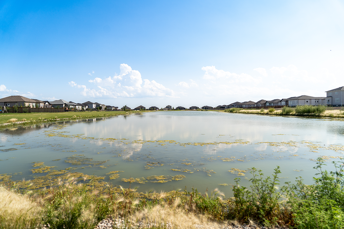 images-Parks & nature