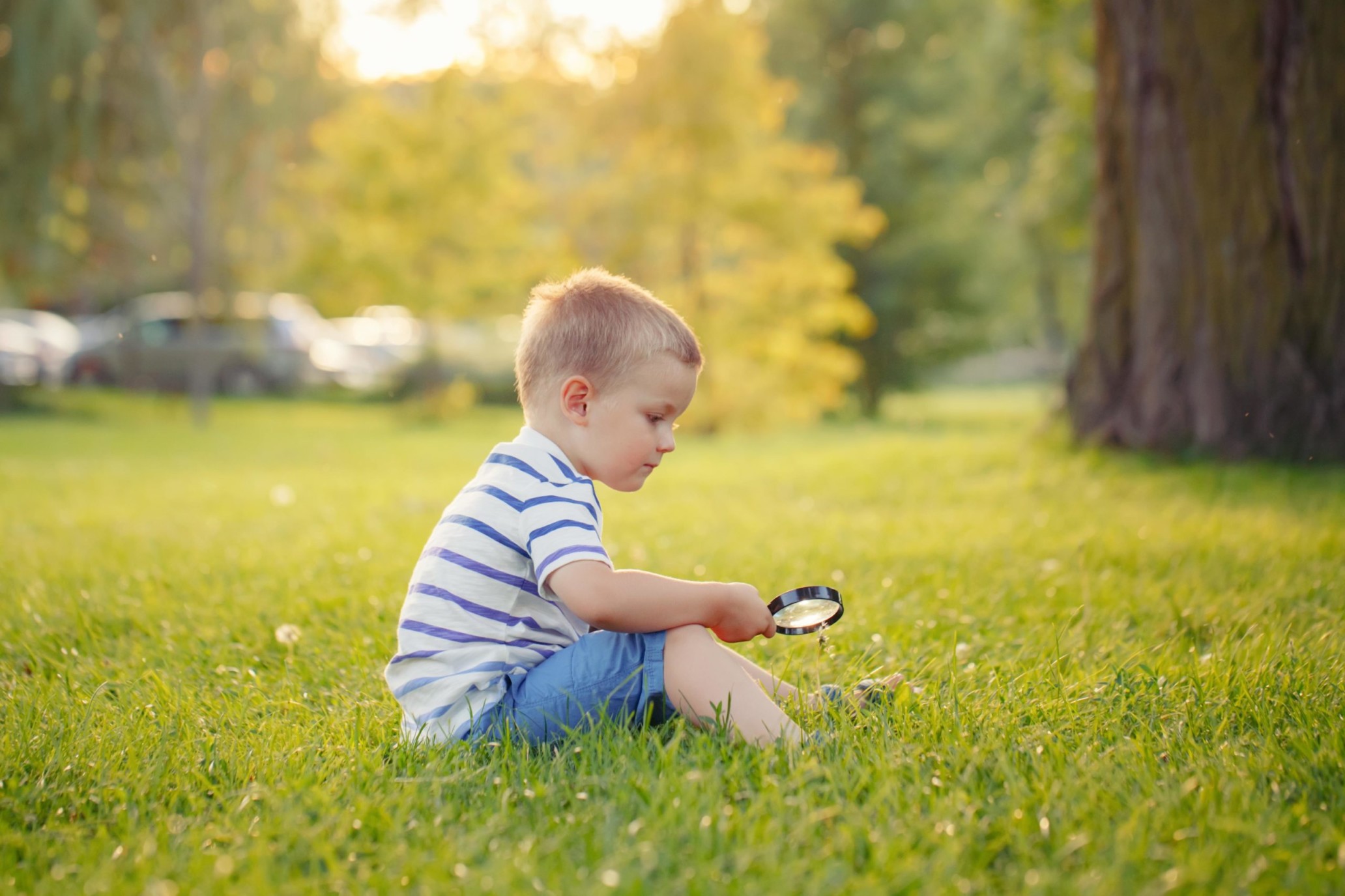 images-Parks & nature