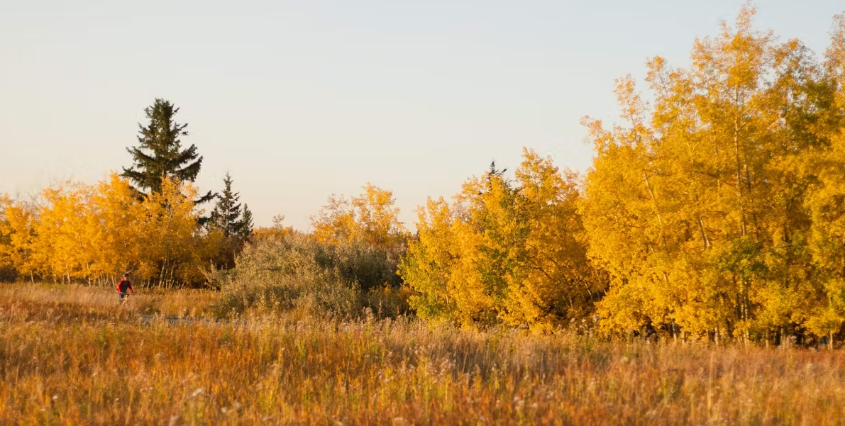 images-Parks & nature