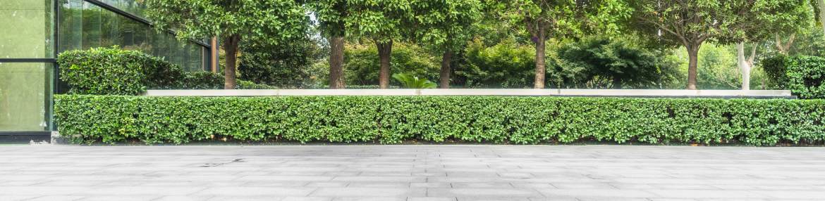 images-Services & more