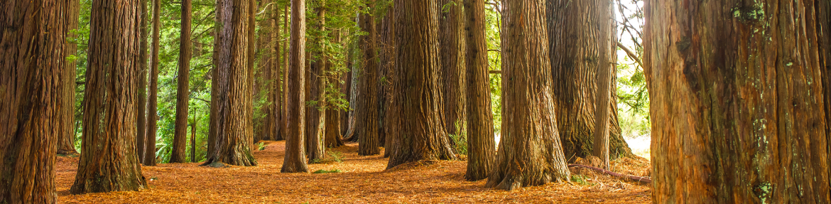 images-Parks & nature