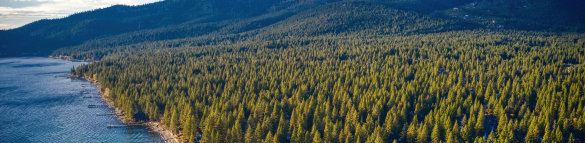 images-Parks & nature