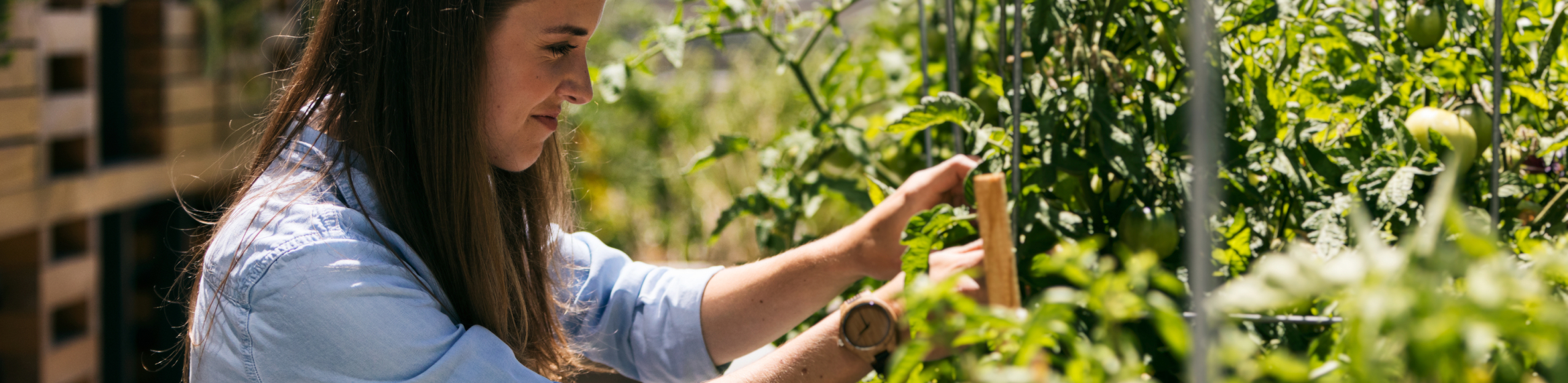 images-Parks & nature