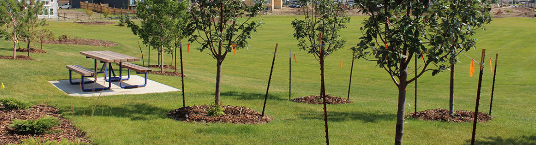 images-Parks & nature