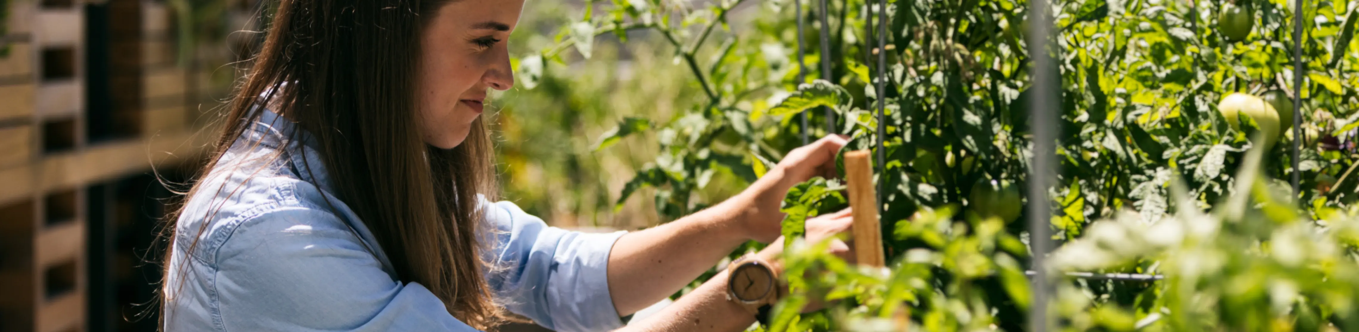 images-Parks & nature