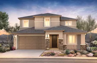 images-Harvest Cactus Series