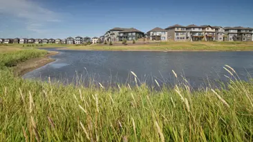 images-Laurel Crossing