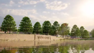 images-Watercress 65'