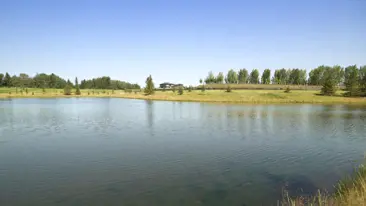 images-Crimson in Creekwood Chappelle