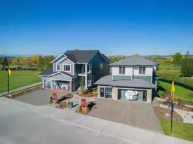 images-D'ARCY | By Anthem