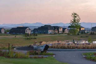 images-Wedderburn | By Anthem