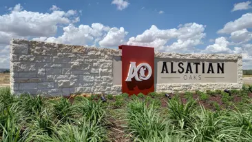 images-Alsatian Oaks 50'