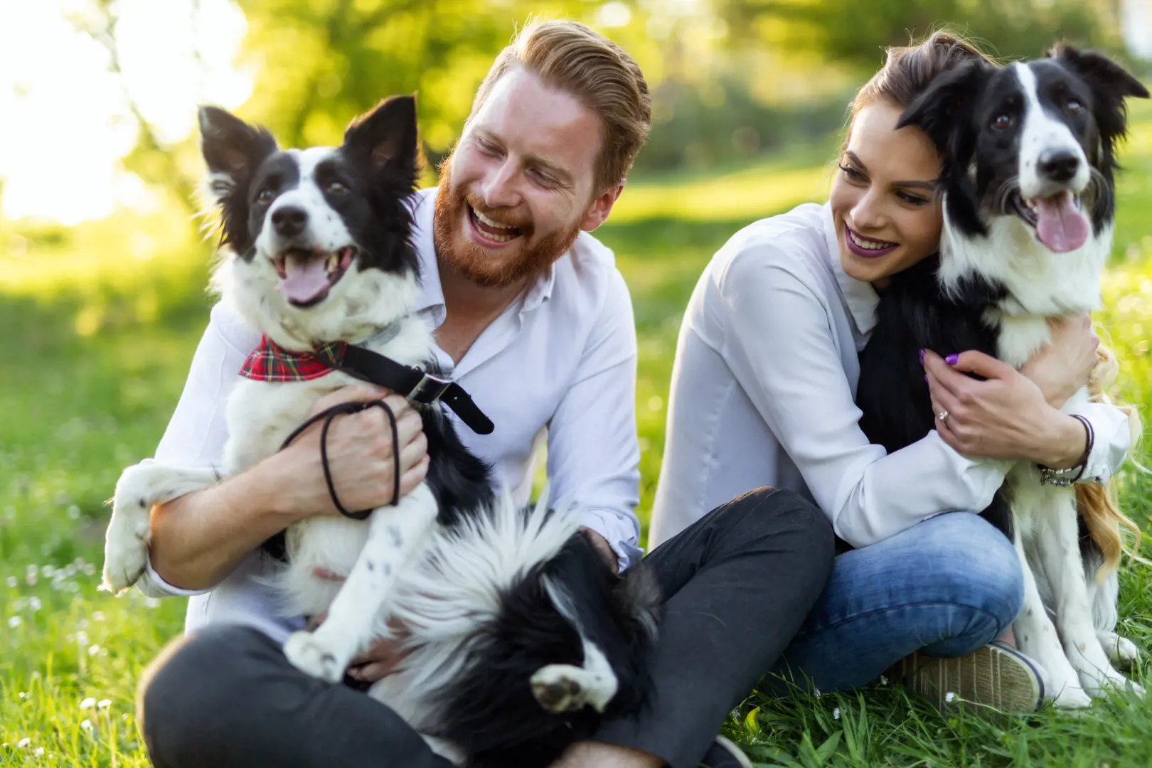 welcome image banner