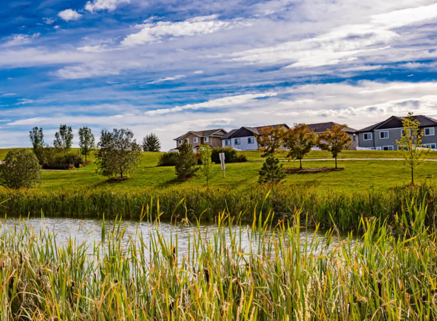 welcome image banner