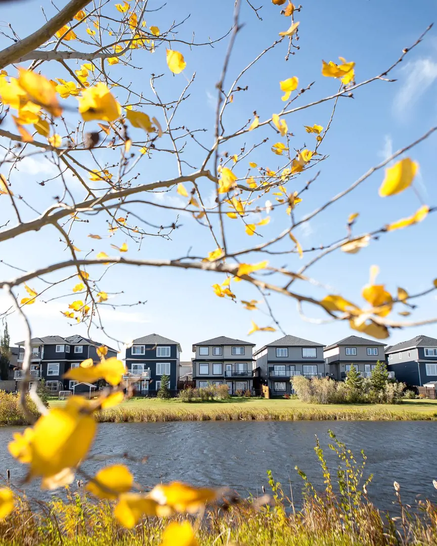 welcome image banner