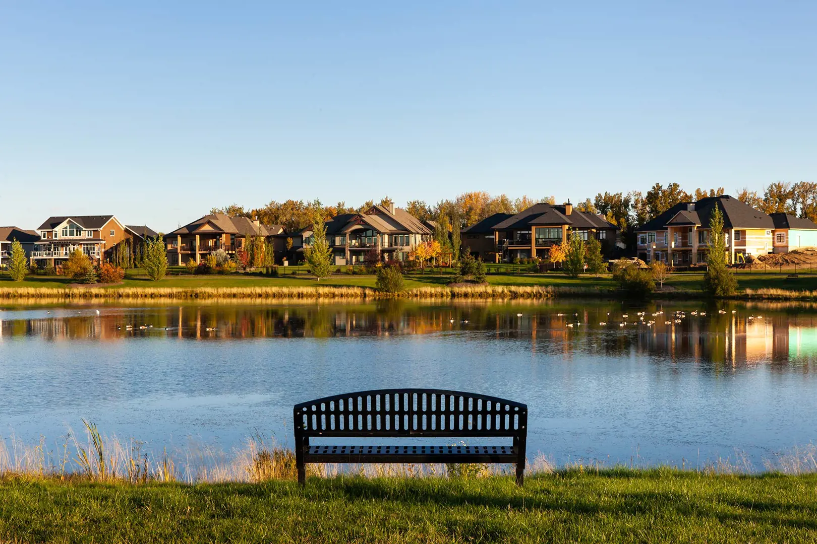 welcome image banner