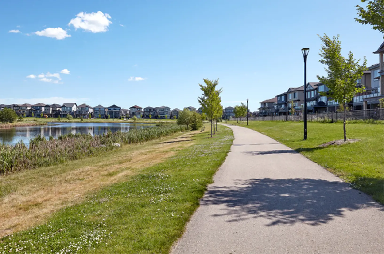 welcome image banner