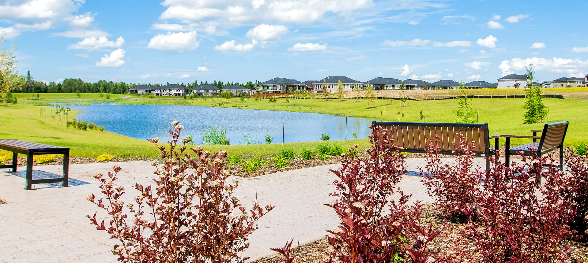 welcome image banner