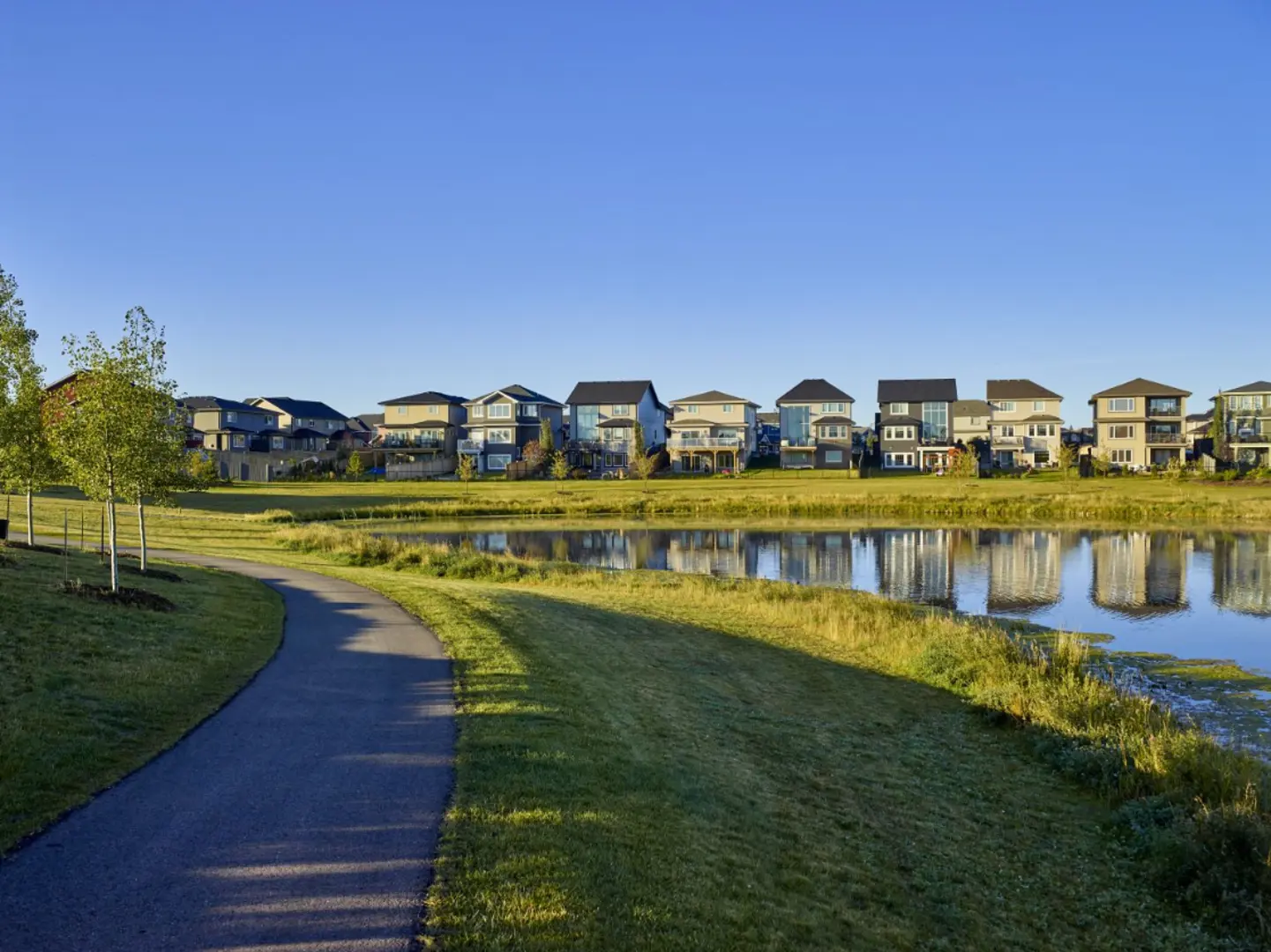 welcome image banner