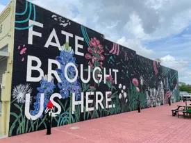 images-Monterra: 50ft. lots