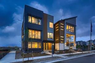 images-Baseline: Limited Edition