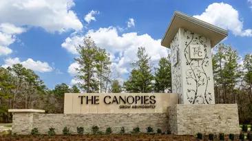 images-The Canopies