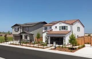 images-Starblossom at Montelena